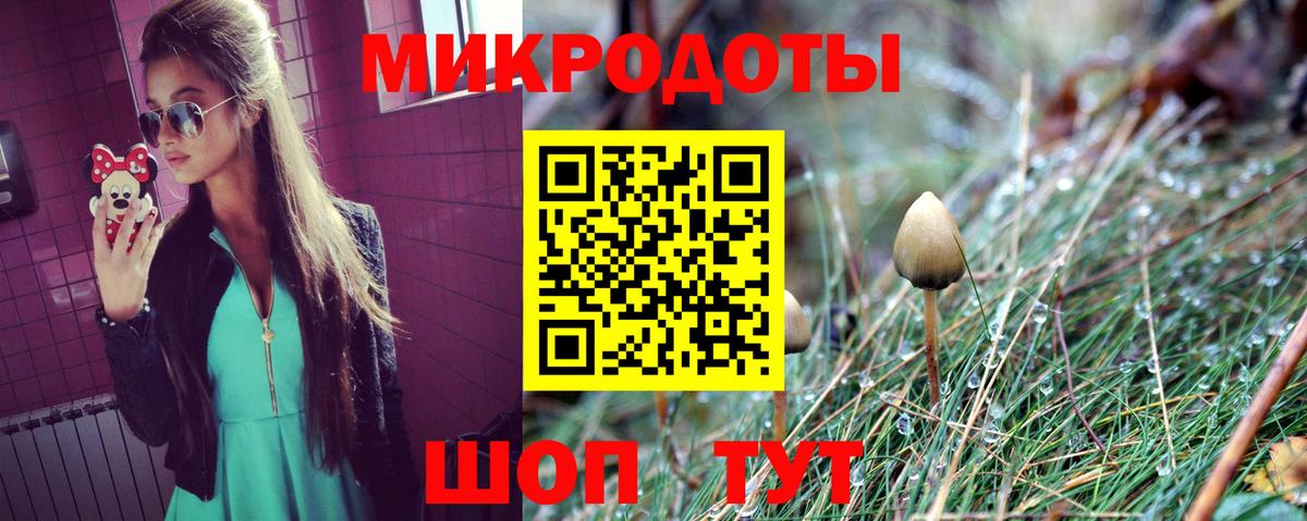 Галлюциногенные грибы мицелий  Вход с VPN  Новотроицк  Галлюциногенные грибы мицелий 