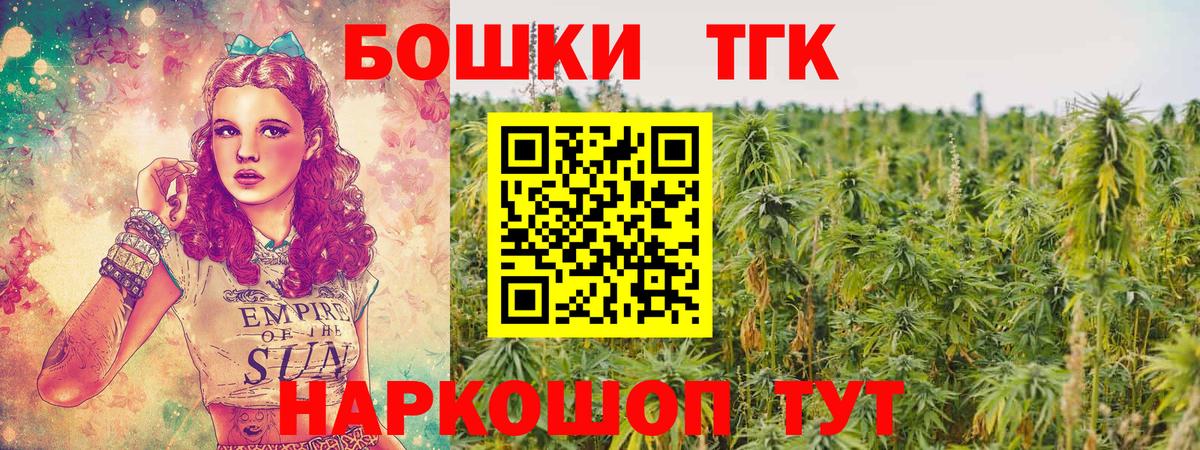 Марихуана индика  Вход с VPN  Новотроицк  Конопля план 